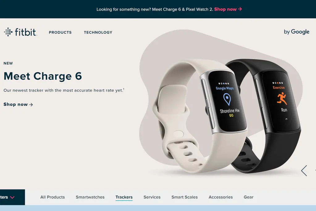 Bellabeat vs Fitbit: Fitbit design